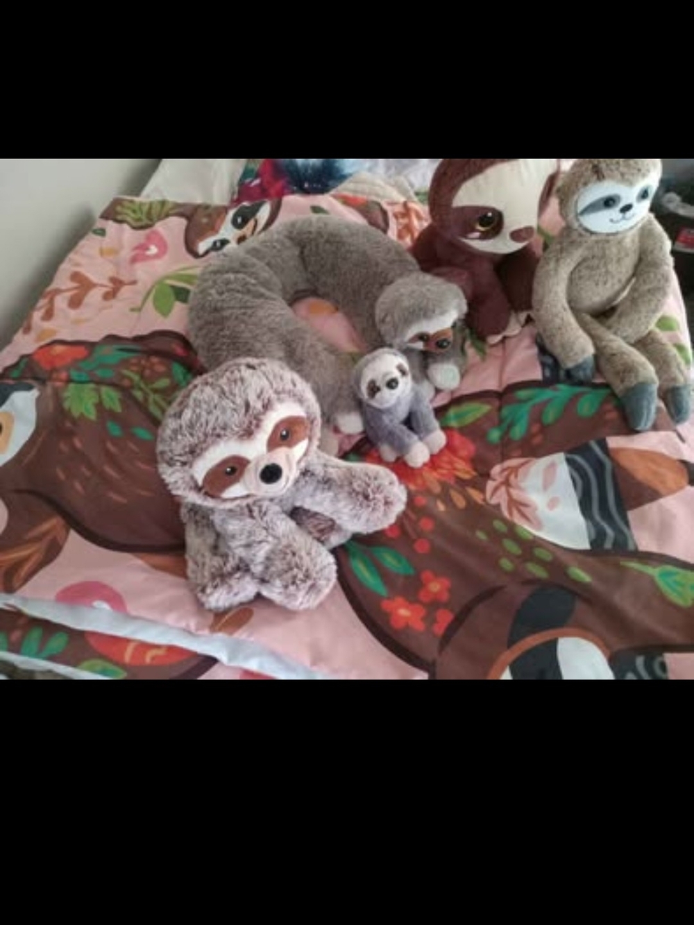 Kids Full Size Bedspread With Plush Sloth Stuffed Animal Toys And Two Pictures